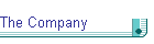 The Company